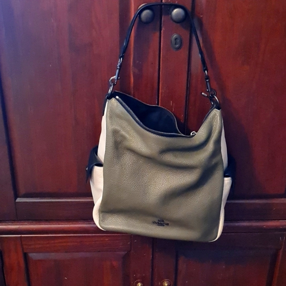 Coach Pennie Bag